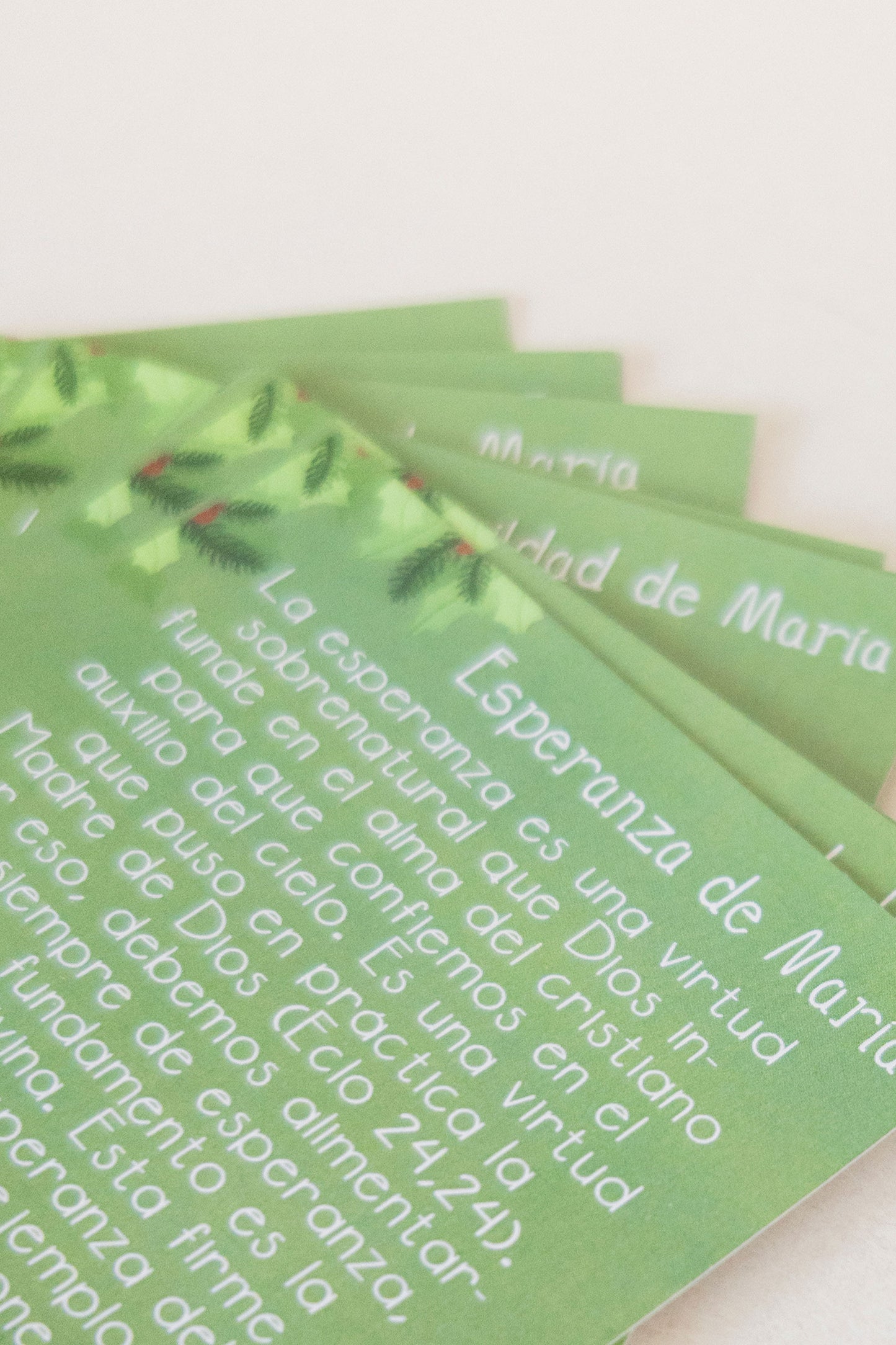 Imitando las Virtudes de José y María